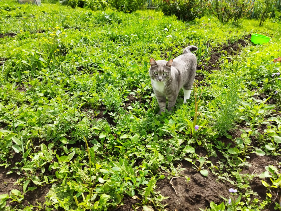 Тёма всегда на посту - свежие новости на Toplenta по теме r