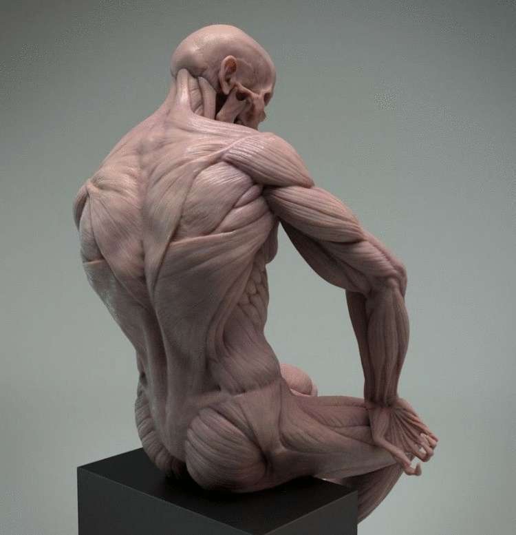 Упражнения, которые снимут мышечные зажимы и вернут психическое равновесие - свежие новости на Toplenta по теме Медицина и Здоровье  /  Соцпортал