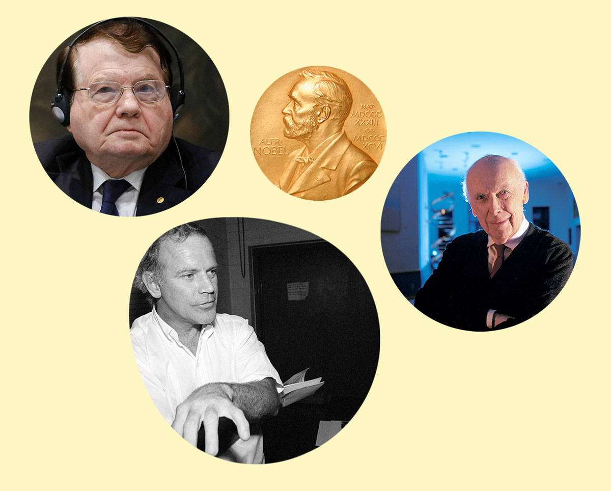 «Нобелевская болезнь» — это склонность нобелевских лауреатов в зрелом возрасте нести полную чушь - свежие новости на Toplenta по теме Наук
