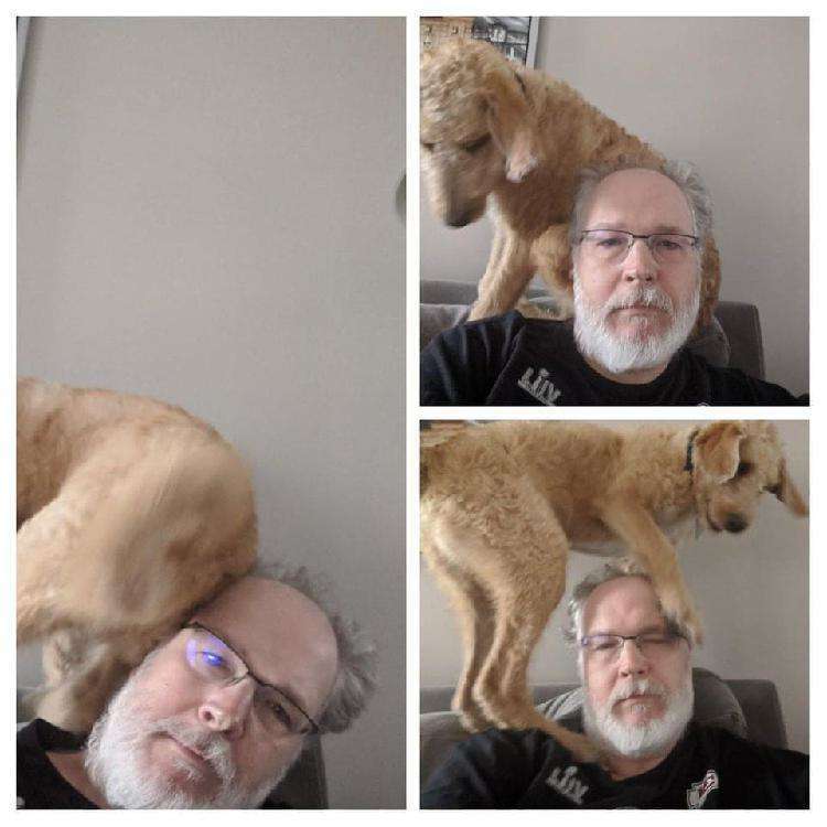 15 фотографий смешных и дурашливых собак, которые не дают своим владельцам заскучать ни на одну секундочку - свежие новости на Toplenta по теме Животные