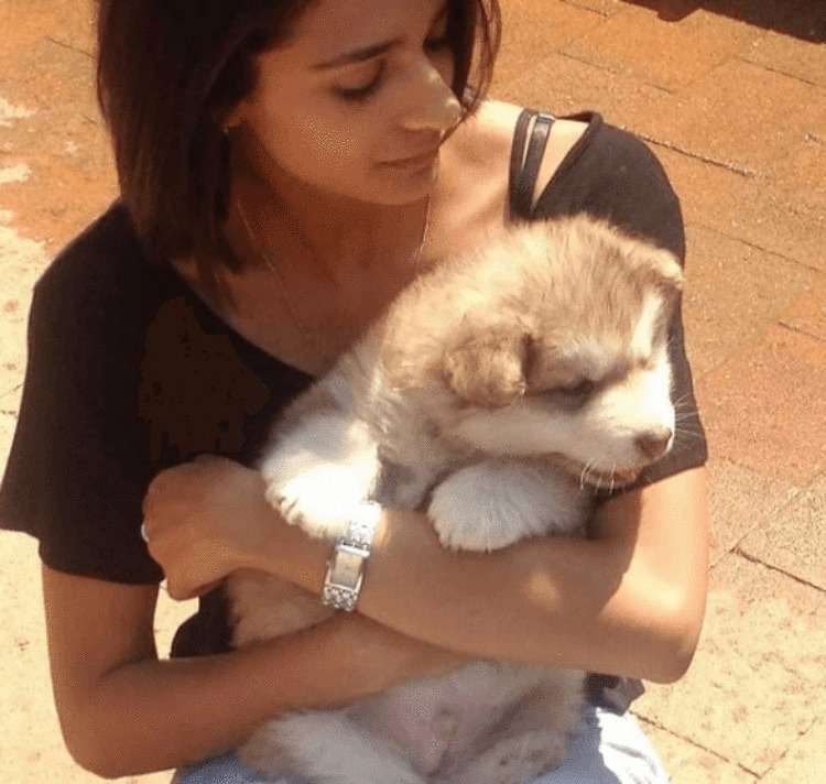 Девушка приютила маленького щенка. Теперь пес вырос и стал крупнее хозяйки - свежие новости на Toplenta по теме Животные