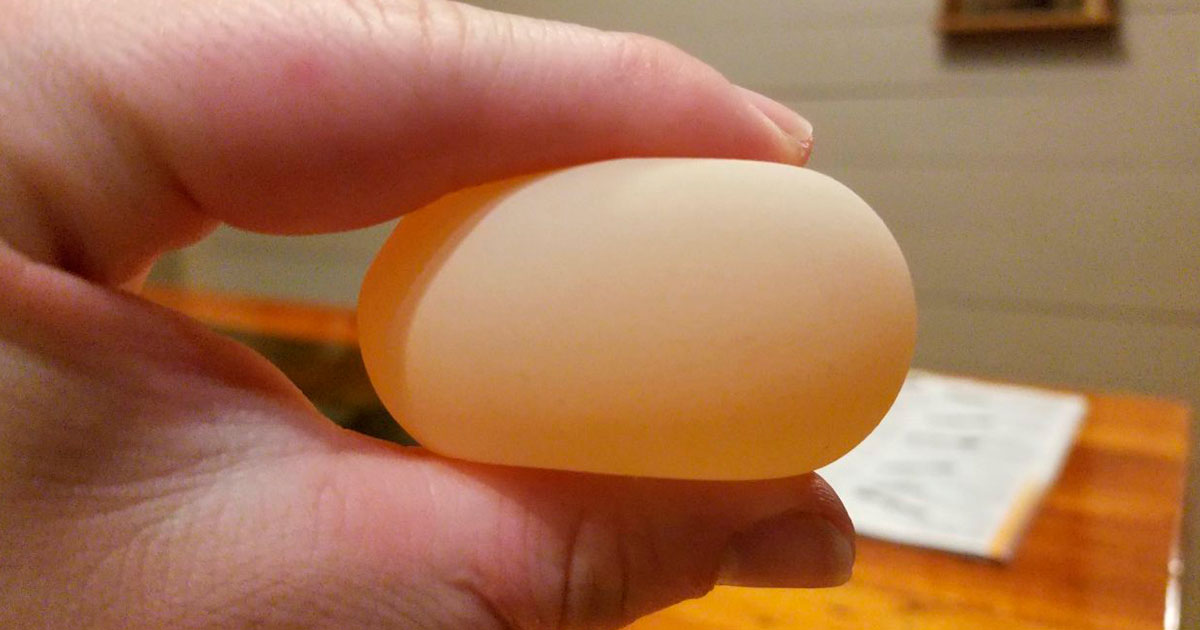 Что такое ветряные яйца - свежие новости на Toplenta по теме названия