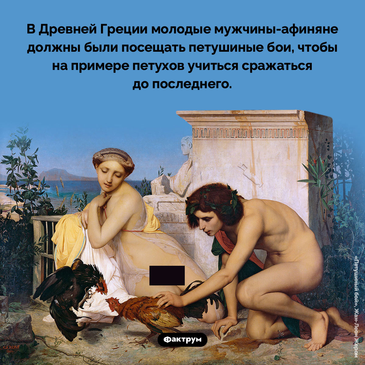 Чему афиняне учились у петухов - свежие новости на Toplenta по теме Древняя