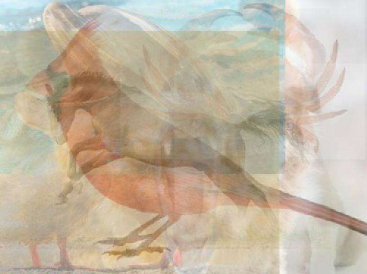 Животные, которых вы увидите на этом изображении, многое расскажут о вашей личности - свежие новости на Toplenta по теме Зоология