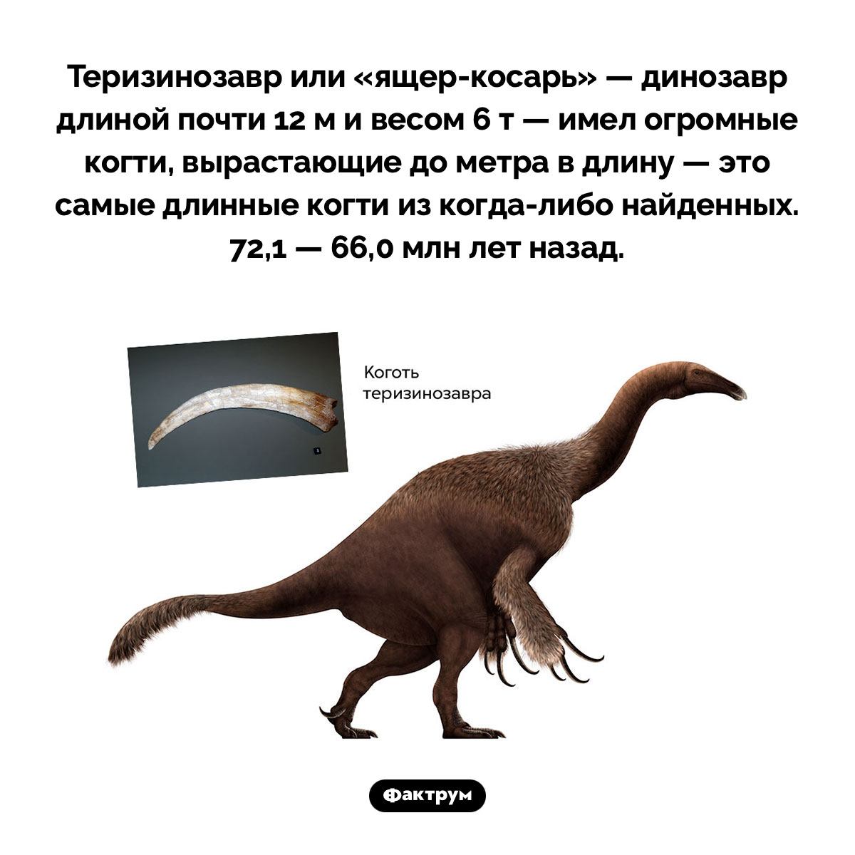 Теризинозавры - свежие новости на Toplenta по теме Наук