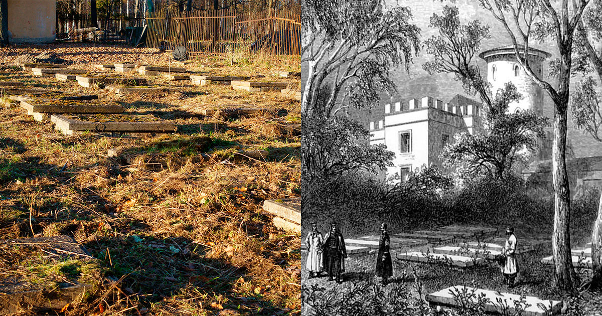 Первое кладбище животных появилось в России - свежие новости на Toplenta по теме лошади