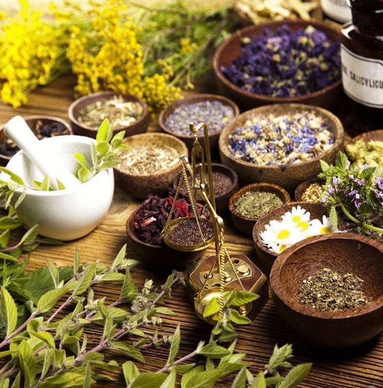 15 растений, которые оптимизируют работу щитовидной железы - свежие новости на Toplenta по теме Медицина и Здоровье  /  Соцпортал