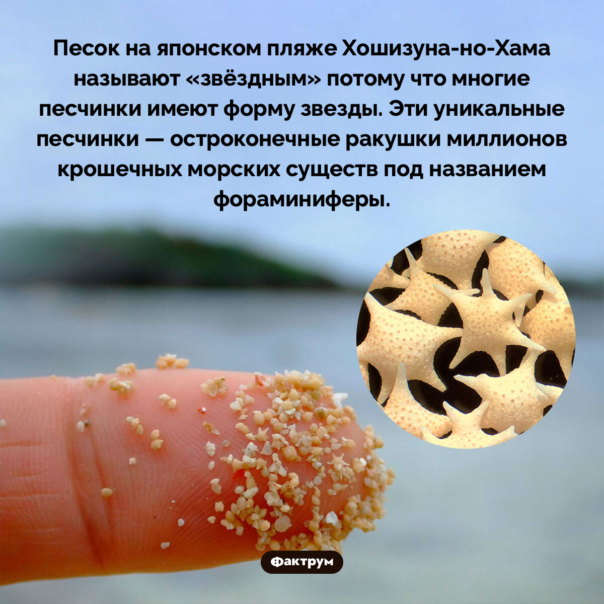 Звёздные пески пляжа Хошизуна-но-Хама - свежие новости на Toplenta