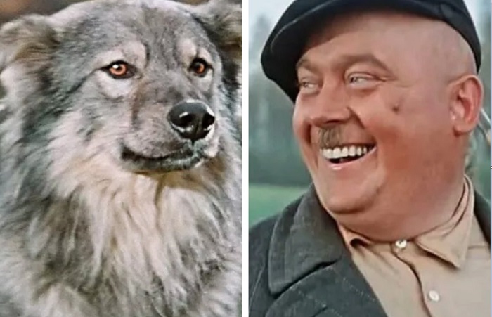 Как Моргунов и Пёс Барбос погрызлись на съёмках, и Что стало с собакой после комедии - свежие новости на Toplenta по теме Леонид