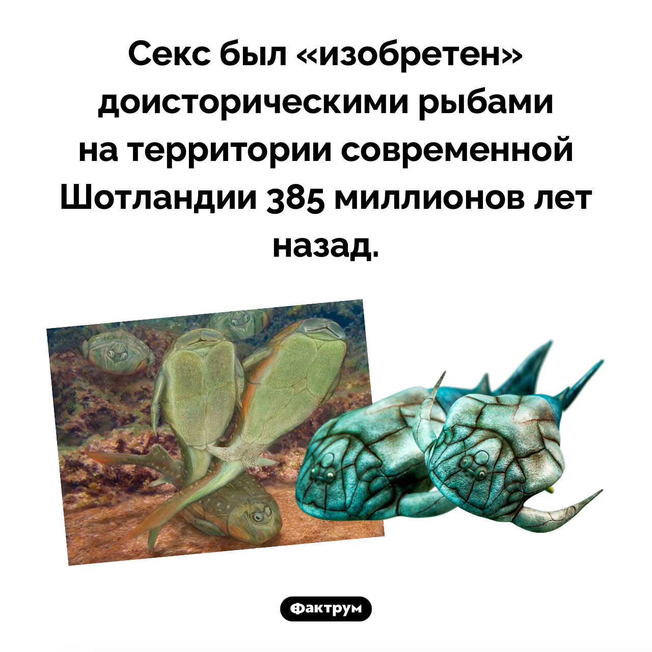 Кто и когда придумал секс - свежие новости на Toplenta по теме Наук