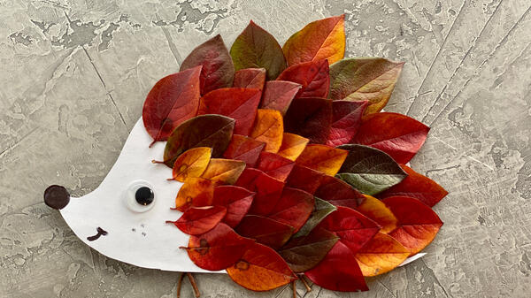 Осенняя аппликация для детей - свежие новости на Toplenta по теме Лист