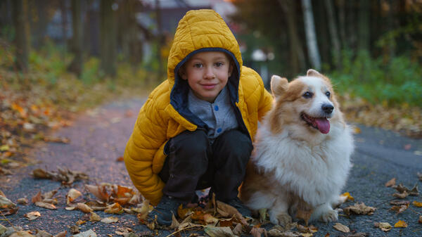 5 причин завести собаку - актуальные новости по теме Завести на Toplenta