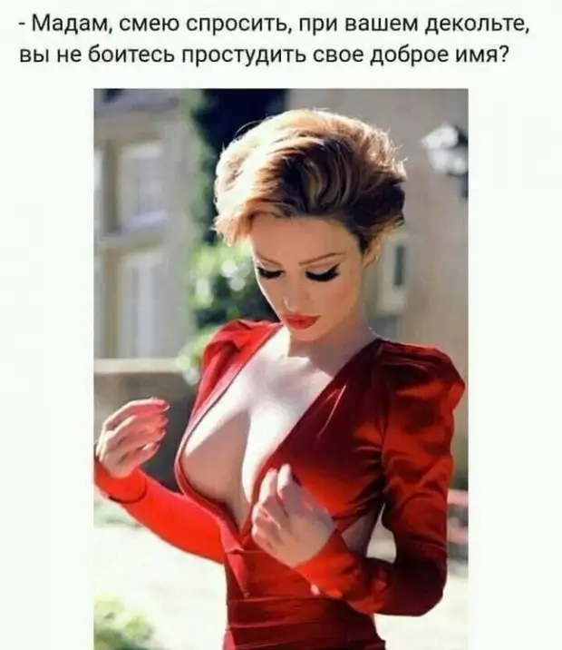 Как объяснить иностранцу, что коза и козёл - животные одного вида, но разного пола, а оса и осёл - просто разные животные? - свежие новости на Toplenta