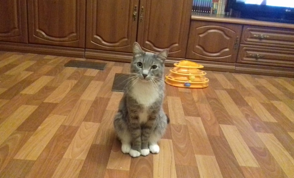 День рождения и Тёма - свежие новости на Toplenta по теме Станция