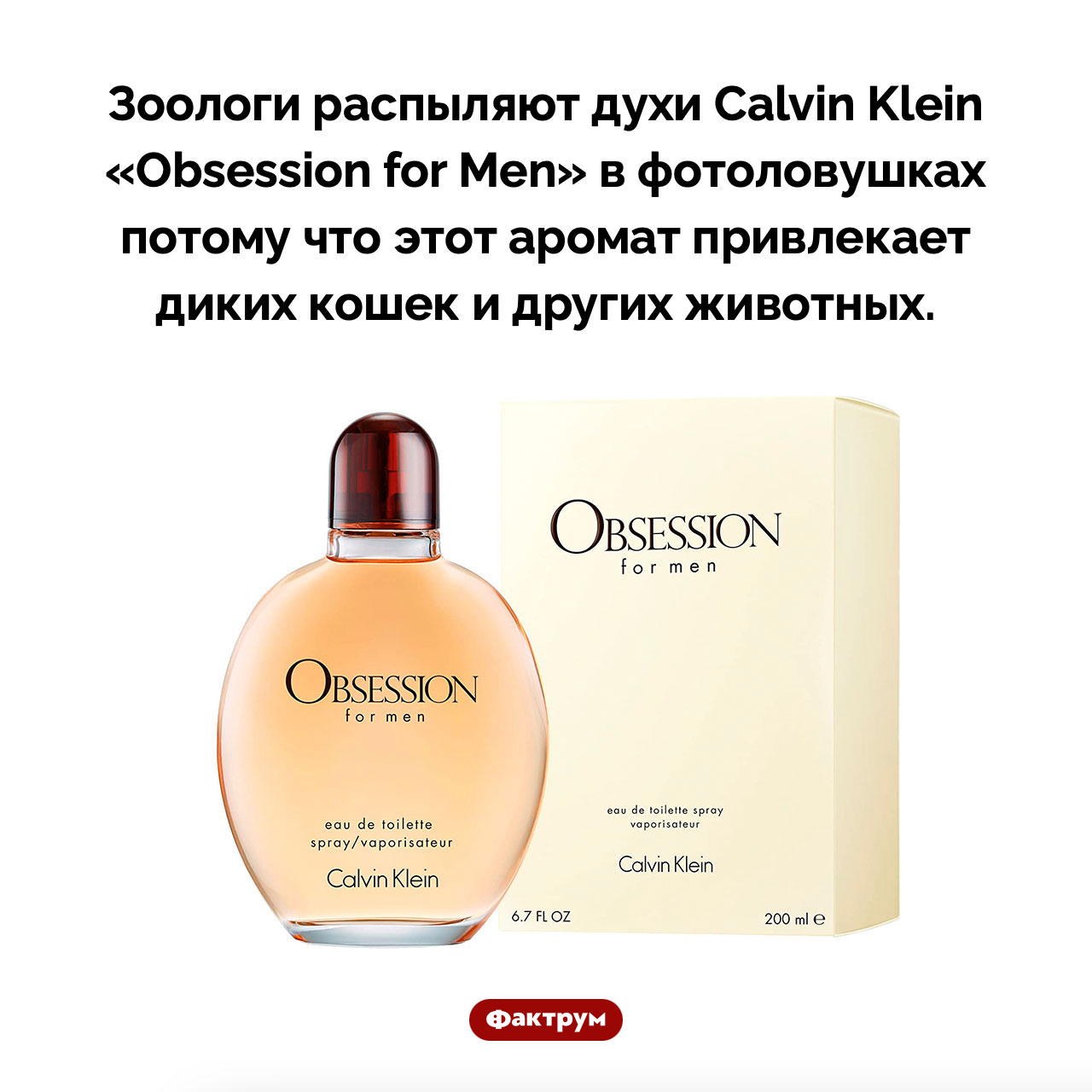 «Obsession for Cats» - свежие новости на Toplenta по теме Наук