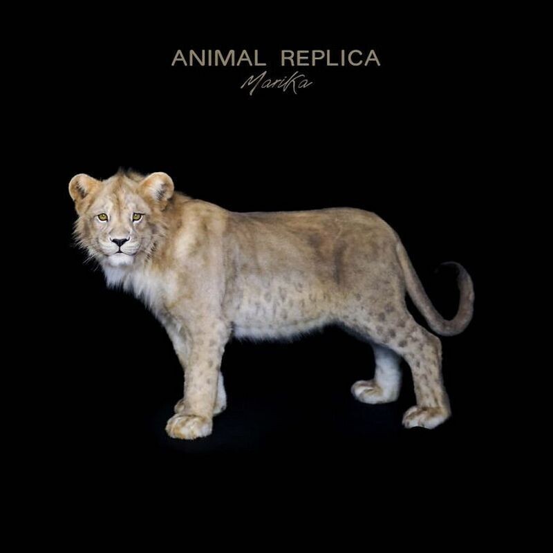 14 реалистичных копий животных или новая эра таксидермии - свежие новости на Toplenta по теме iv