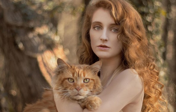 Добрые и пушистые — исследование доказывает, что кошатницы вовсе не одинокие истерички - свежие новости на Toplenta по теме Омо