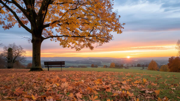 Что за праздник Осия Колесник, который отмечают 30 октября — гадали по скрипу и слушали собак - свежие новости на Toplenta по теме Новости моды