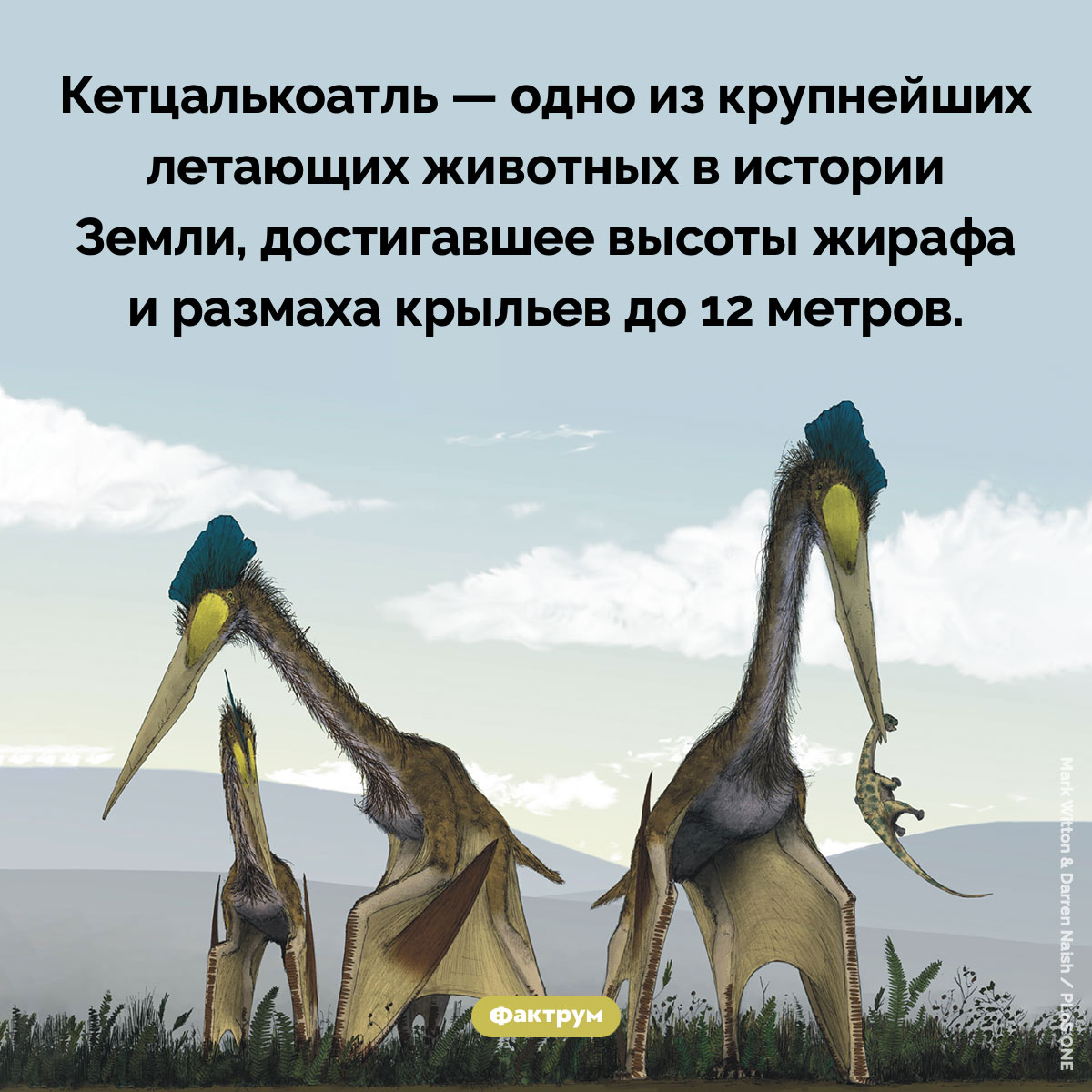 Невероятный кетцалькоатль - свежие новости на Toplenta по теме Наук