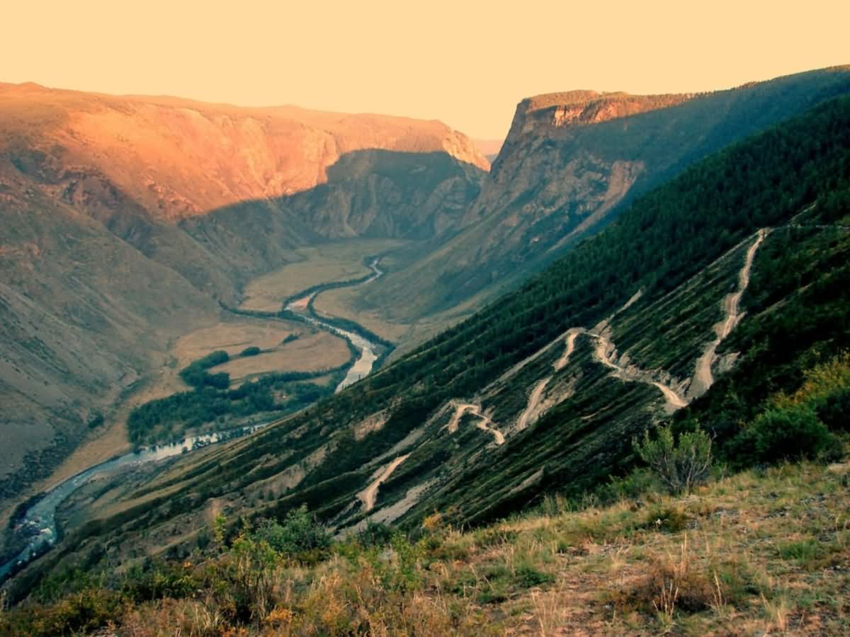 Клиническая смерть: «есть ли свет в конце туннеля»? - свежие новости на Toplenta