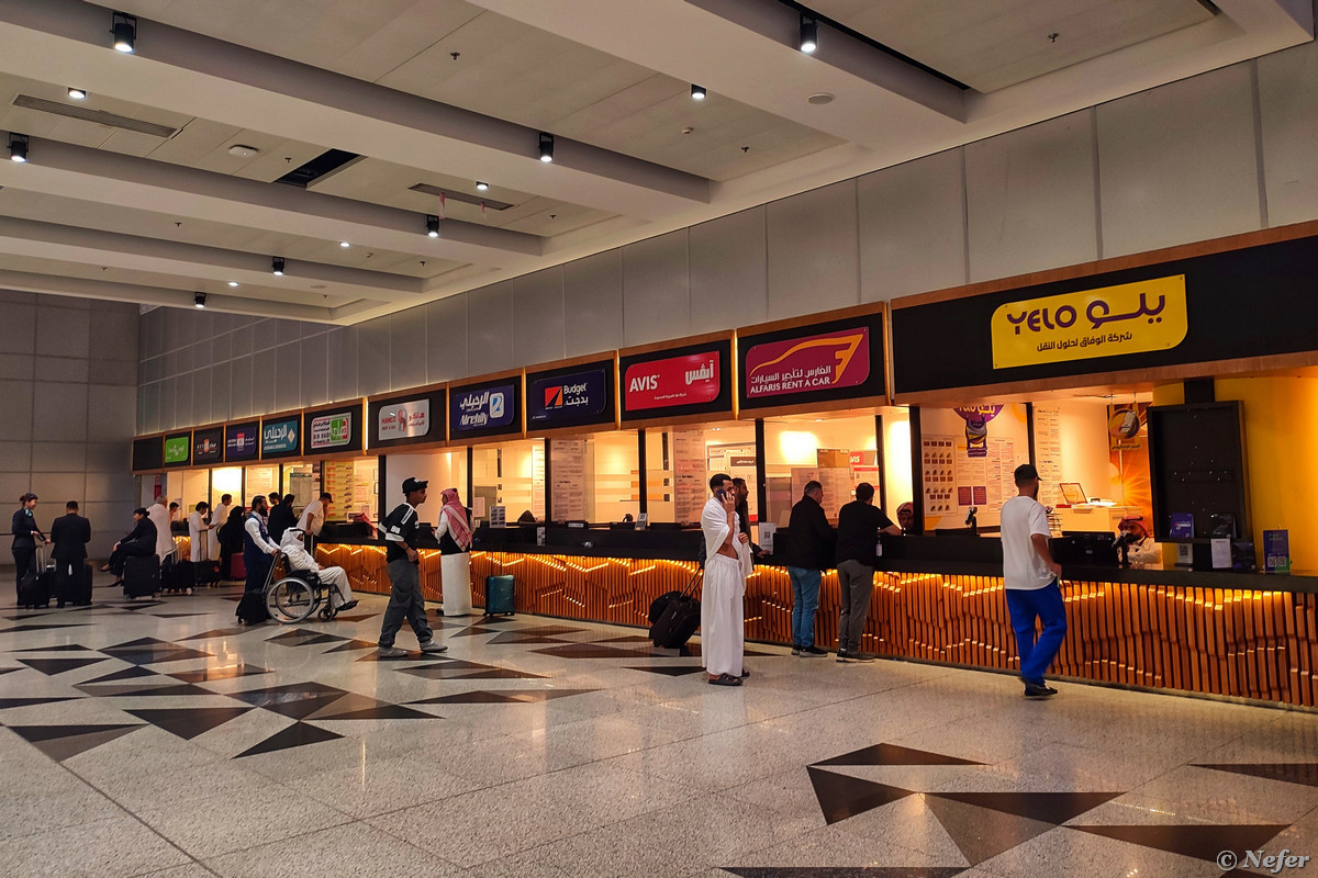 Саудовская Аравия: прогулка по вечерней Джедде, кошки выпросили шаурму - свежие новости на Toplenta по теме pro