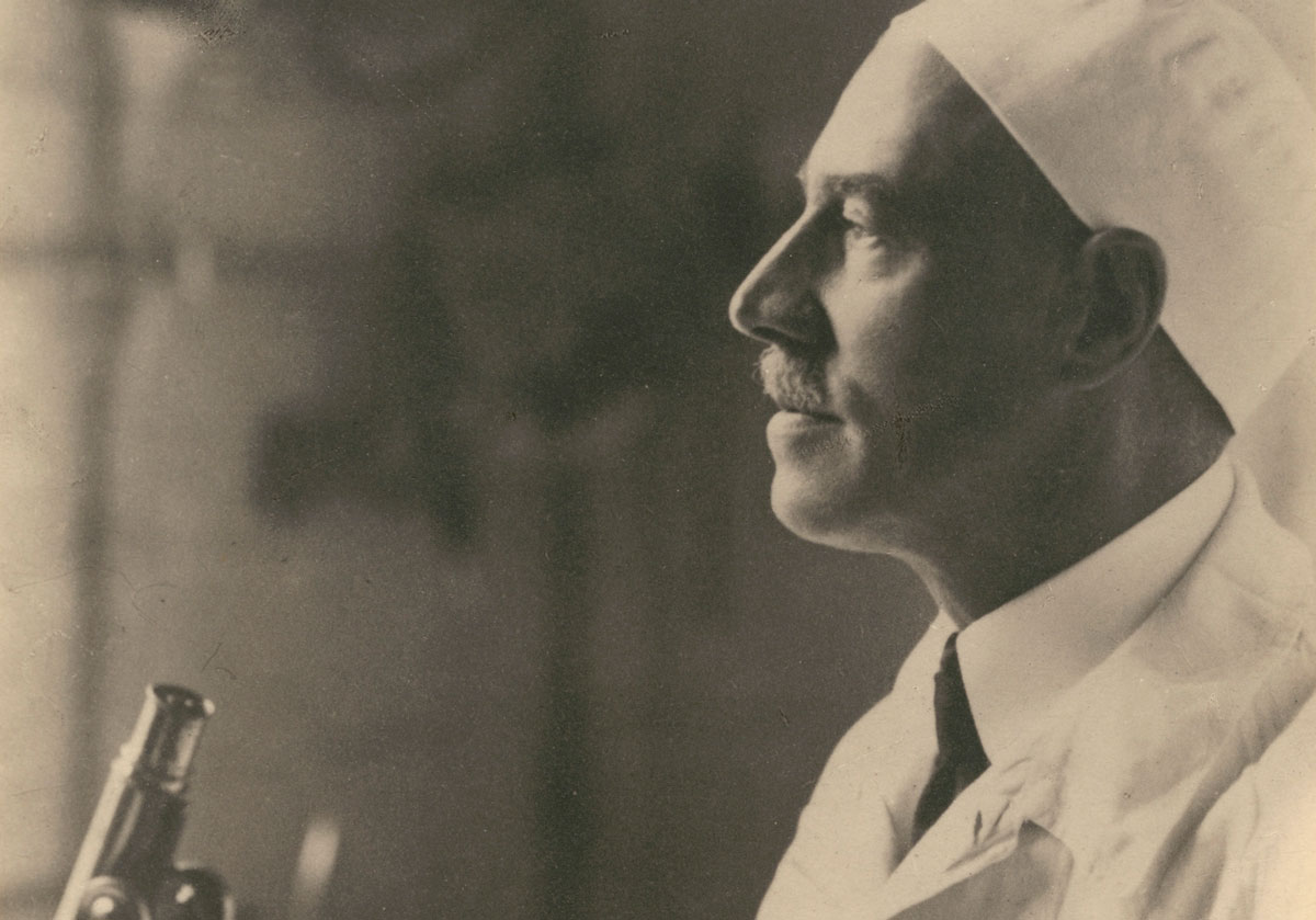 Как французский микробиолог случайно истребил почти всех кроликов Западной Европы - свежие новости на Toplenta