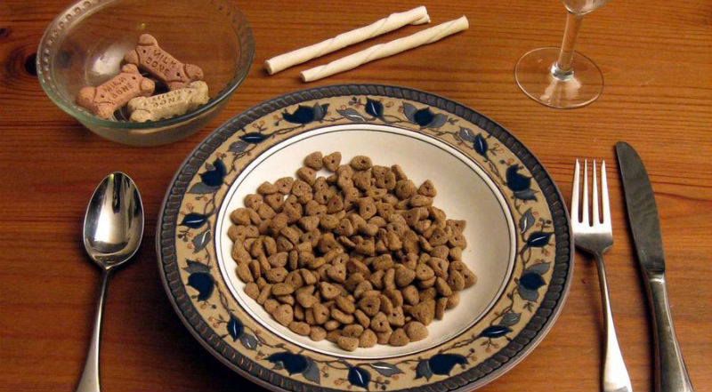 15 странных профессий, за которые платят очень даже реальные деньги - похожая новость на Toplenta