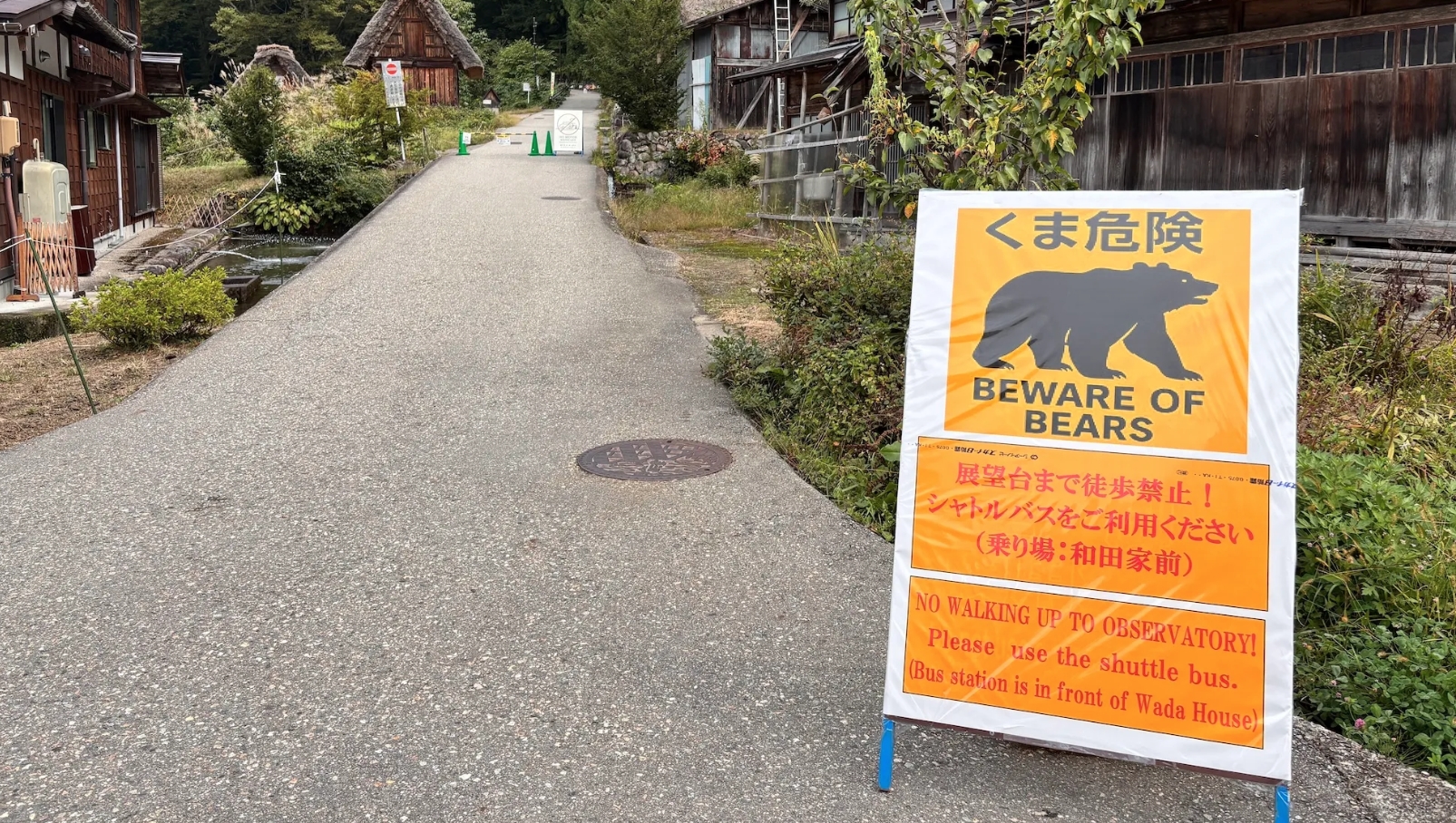 В этой стране медведи массово нападают на людей и не дают спокойно жить - похожая новость на Toplenta