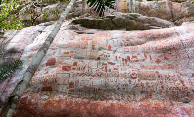 В джунглях Амазонки нашли рисунки возрастом 10 000 лет, на которых люди охотятся на зверей-гигантов - свежие новости на Toplenta