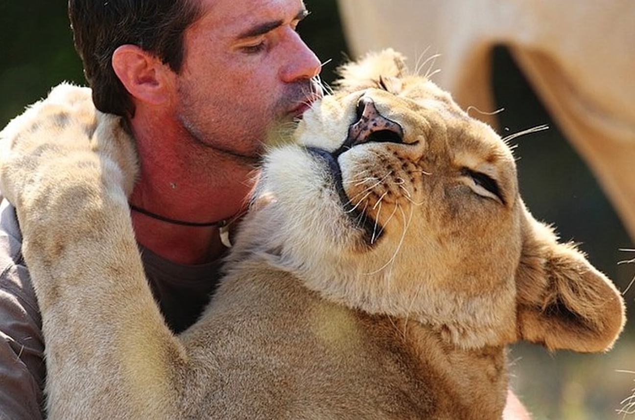 Почему мы не можем одомашнить любое дикое животное? - похожая новость на Toplenta