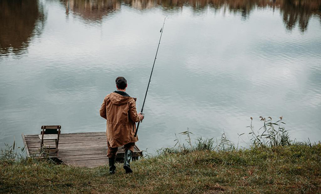 Рыбак приходил каждый день на речку и к нему приплывала змея. Человек и рептилия дружат уже пятый год - свежие новости на Toplenta
