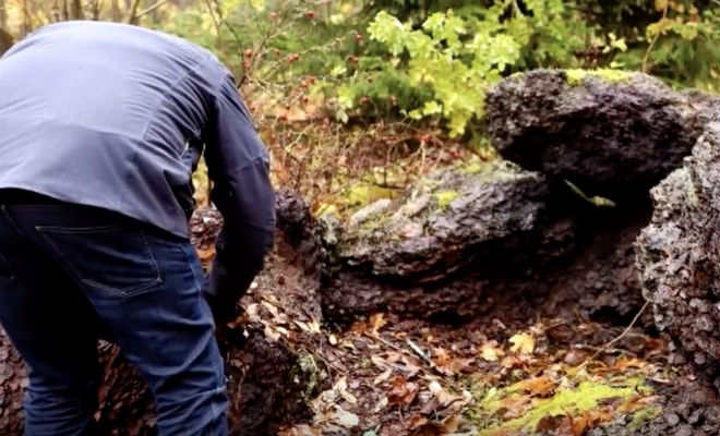 Грибники думали, что наткнулись на гору камней. Копнули и оказались наедине с кладом золота - похожая новость на Toplenta