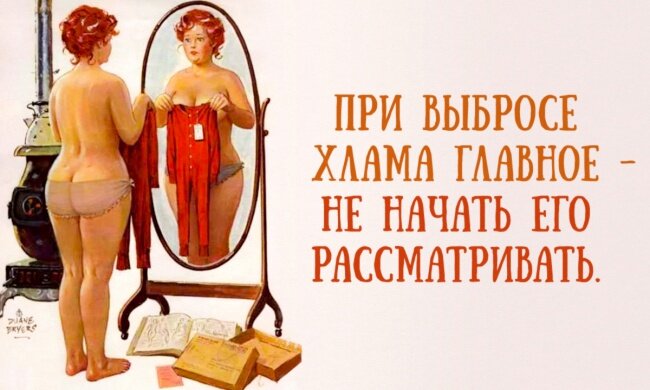 Топ-100 предметов, которые стоит убрать из дома для создания порядка и уюта - свежие новости на Toplenta по теме кот