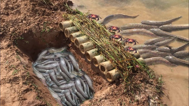 Ловушка, куда рыба заплывает сама! Всем рыболовам смотреть обязательно! - похожая новость на Toplenta