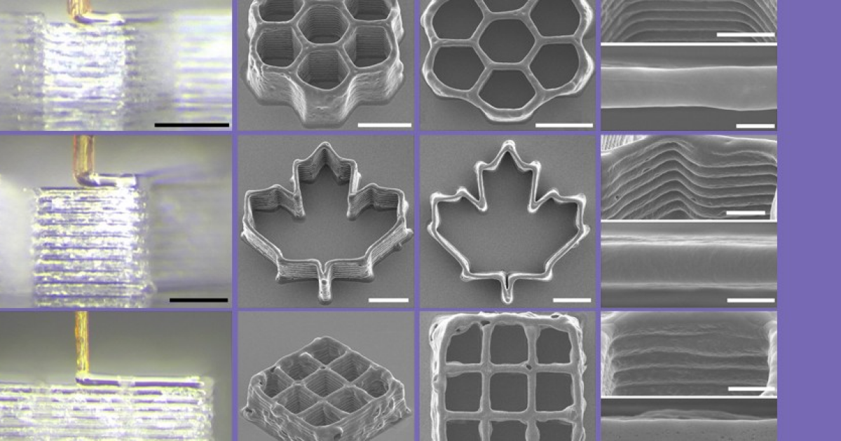 Хоботок комара превратили в дешевое высокоточное сопло для 3D-биопринтера - свежие новости на Toplenta по теме Превратили
