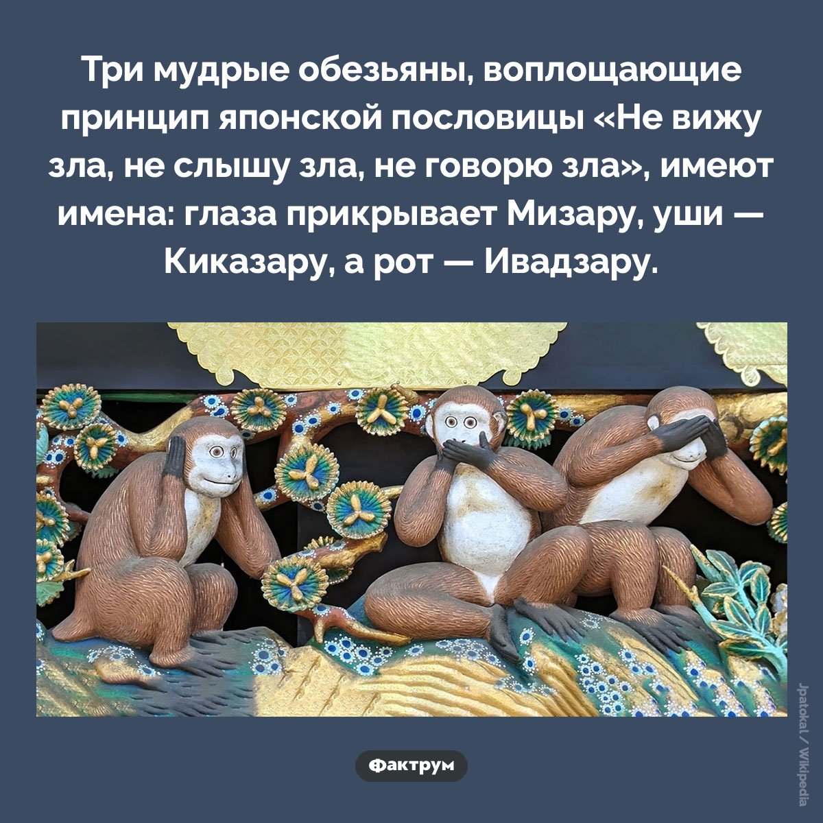 Имена трех мудрых обезьян - похожая новость на Toplenta